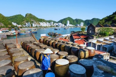 Hanoi – Halong International Cruise Port – Explore Viet Hai Fishing Village (L, D)